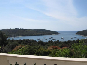 Apartment Stipo A5